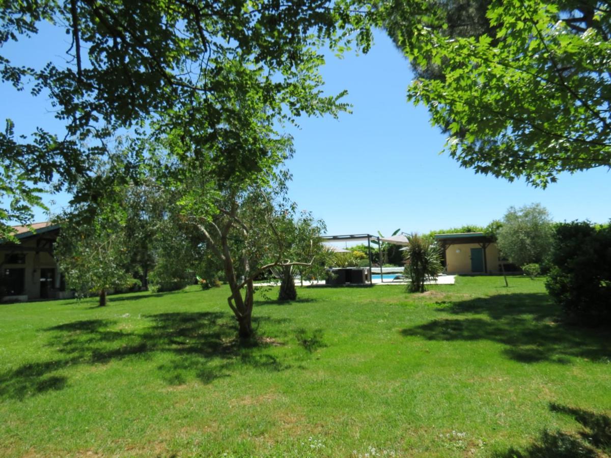 Les Hortensias Caumont-sur-Garonne Экстерьер фото